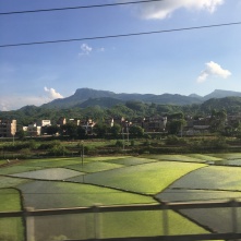 Rice paddies in Guangxi Province